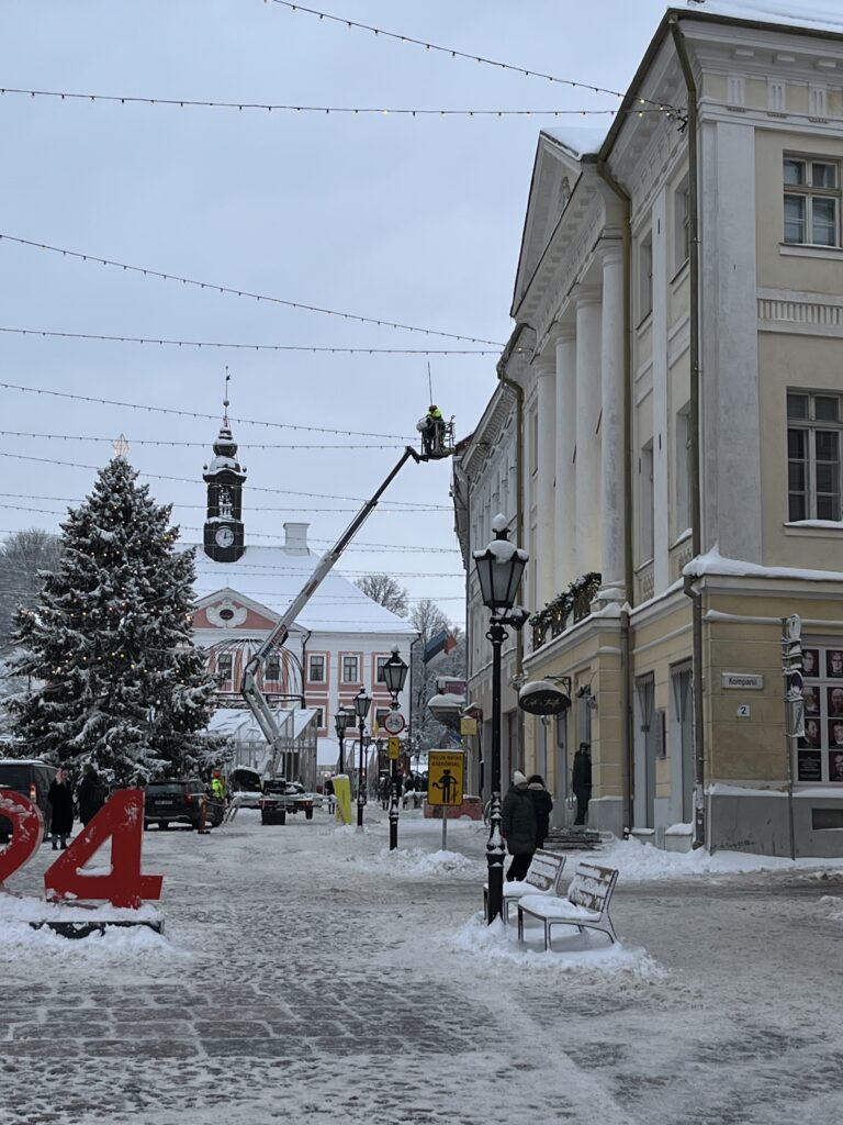 Lumelükkamine img 2870